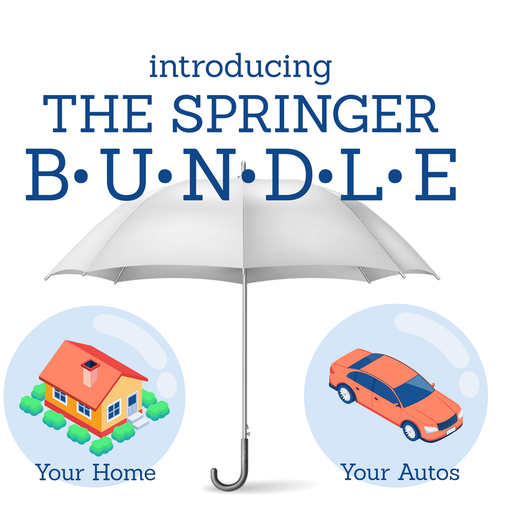Springer Bundle Graphic with an Umbrella over the home and auto insurance