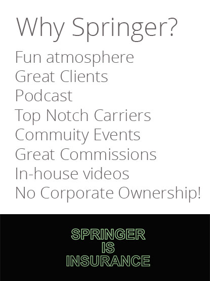 Professional, yet fun!