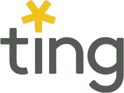 Ting logo
