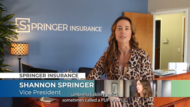 Umbrella insurance video: Umbrella Liability